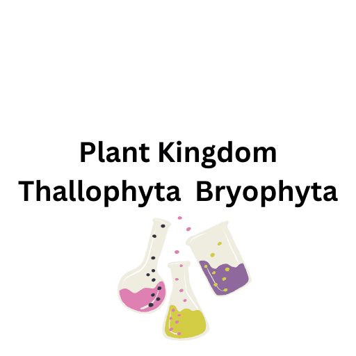  PlantKingdom Thallophyta, Bryophyta